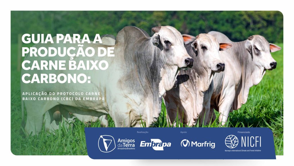 praticas-para-reduzir-emissoes-de-carbono-podem-ampliar-a-competitividade-da-pecuaria-nacional