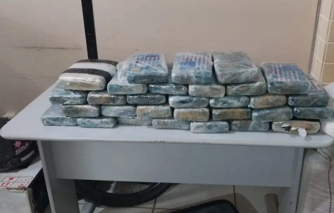 operacao-policial-apreende-32-kg-de-skank-em-altamira,-no-pa
