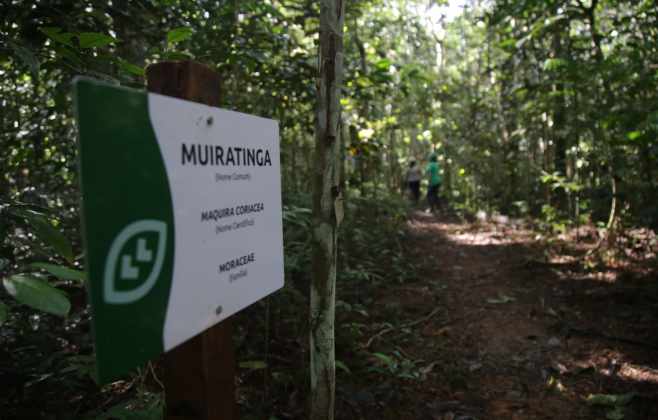 seminario-discute-mineracao-em-areas-protegidas-da-amazonia