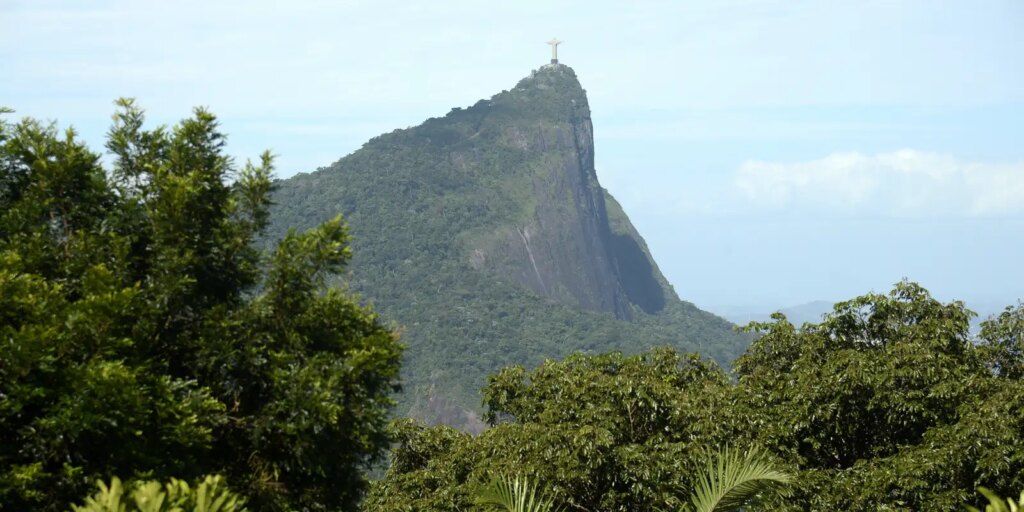 clima:-ativista-afirma-que-grupos-sociais-devem-participar-do-debate