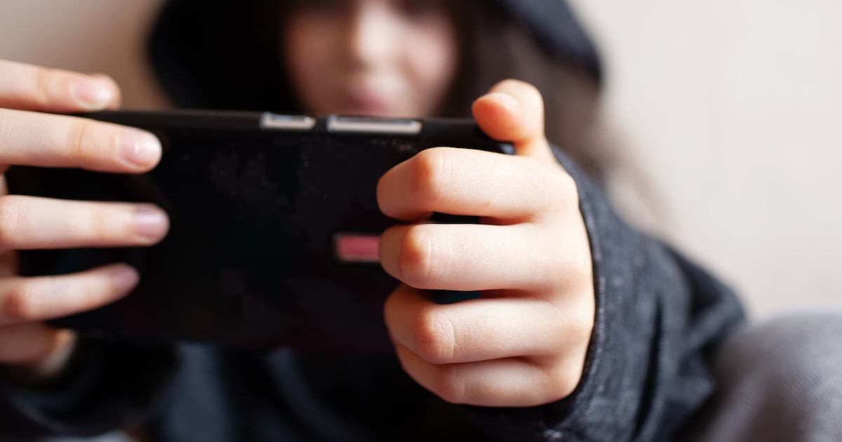 seu-filho-acha-exagero-seu-medo-com-as-redes-sociais?-a-resposta-esta-nos-dix,-os-perfis-secretos