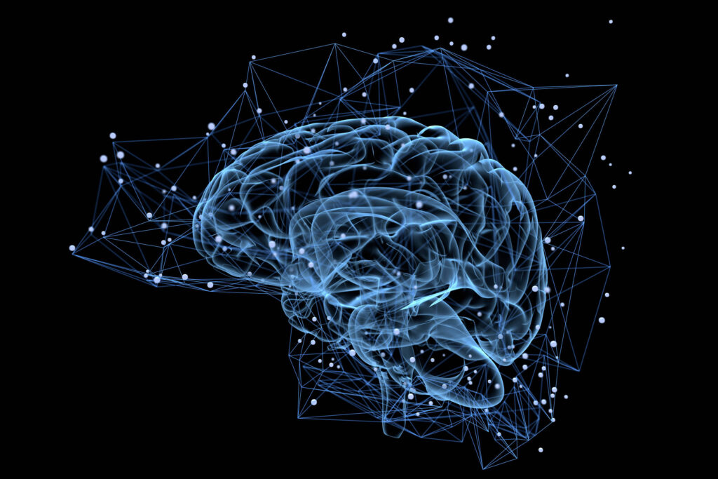 pesquisa-brasileira-investiga-proteina-do-cerebro-que-pode-ajudar-a-regenerar-nervos