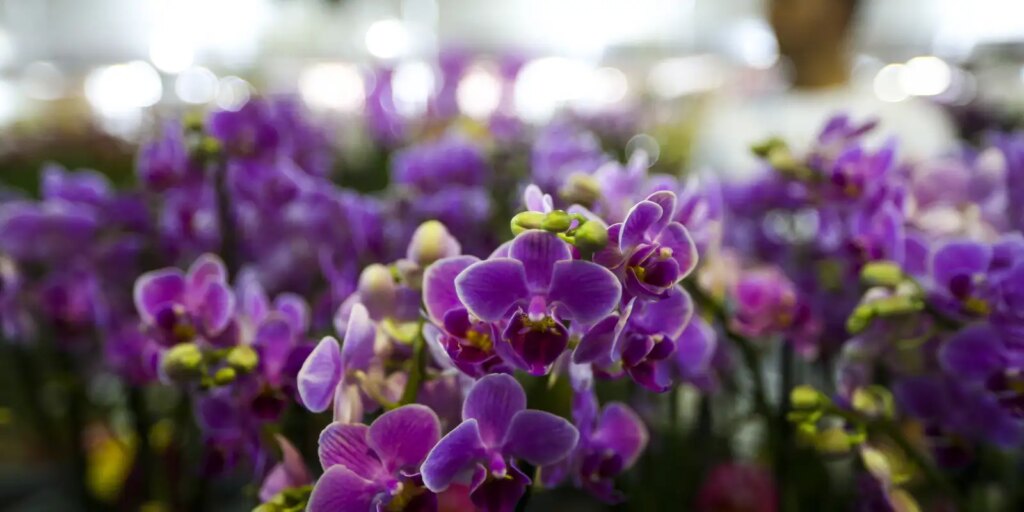 primavera-comeca-hoje-(22),-com-a-chegada-de-frente-fria