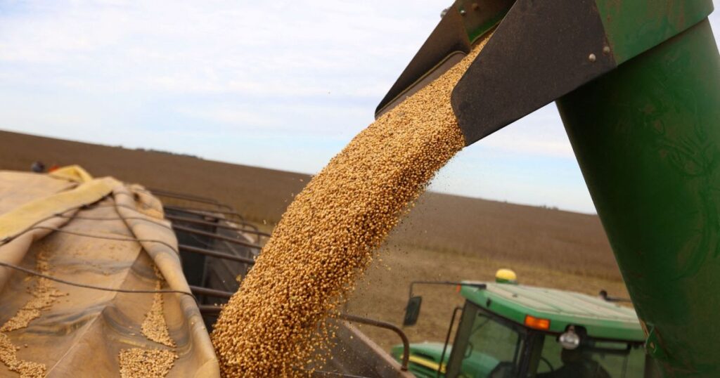 cade-forma-maioria-para-suspender-moratoria-da-soja-a-partir-de-2026