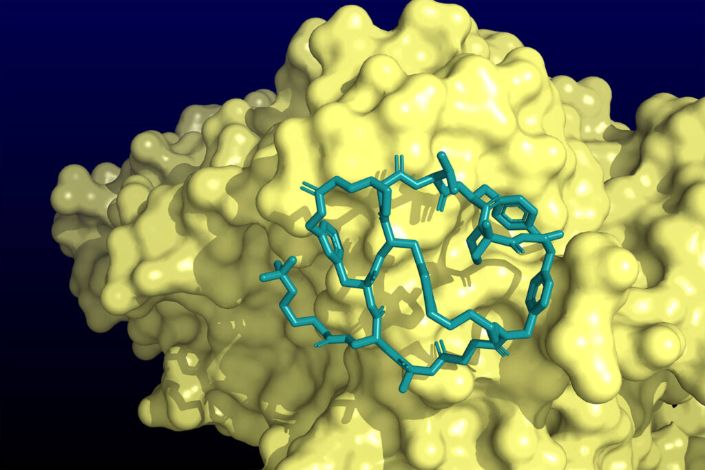 ensaio-clinico-mostra-que-nova-pilula-reduz-colesterol-a-niveis-extremamente-baixos