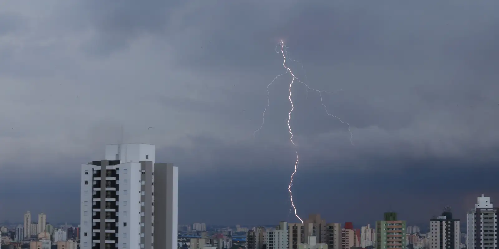 sp-registra-desabamentos-e-quedas-de-arvore-por-chuva-forte