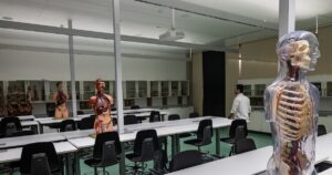 ia,-redes-neurais-e-big-data:-como-‘medicina-do-amanha’-deve-ser-aprendida-pelos-futuros-medicos