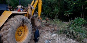 mg:-mais-de-400-produtores-rurais-foram-prejudicados-pelas-chuvas