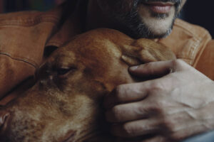 estudos-sugerem-que-animais-de-estimacao-mantem-seus-donos-mais-saudaveis