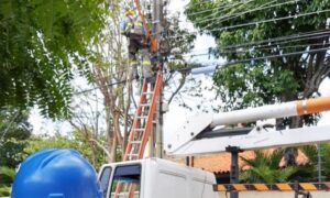 equatorial-tem-queda-de-20,7%-no-lucro-do-4o-trimestre