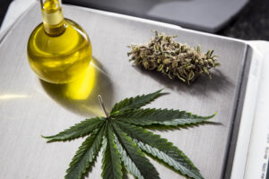 canabidiol-mostra-potencial-para-reverter-danos-do-alzheimer-em-estudo-experimental