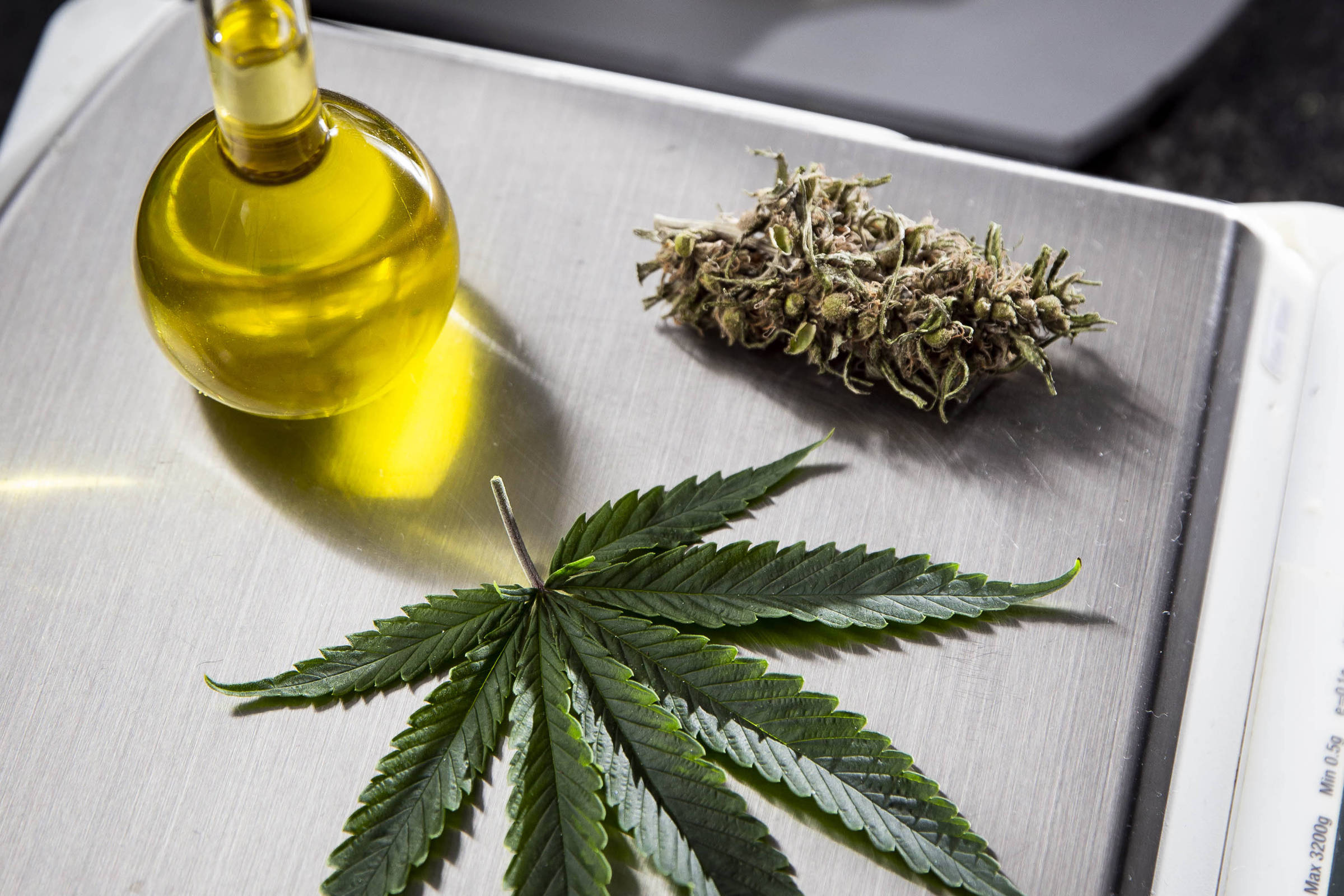 canabidiol-mostra-potencial-para-reverter-danos-do-alzheimer-em-estudo-experimental