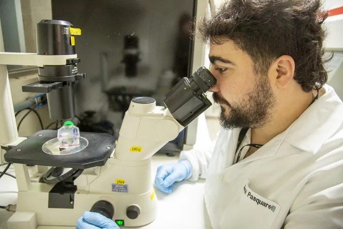 estudo-da-unb-em-fase-inicial-ve-omega-3-como-possivel-aliado-no-combate-ao-cancer-de-ovario