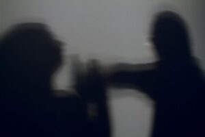 vicaricidio-e-violencia-vicaria:-as-novas-perspectivas-de-protecao-a-mulher