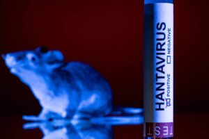 da-antartida-a-minas-gerais:-por-que-o-hantavirus-importa-muito-mais-do-que-parece-ao-brasil