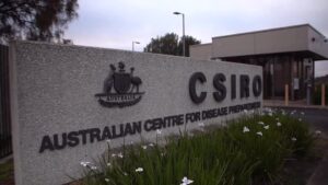 australia-relata-segundo-caso-de-gripe-aviaria-h5n1-em-menos-de-uma-semana