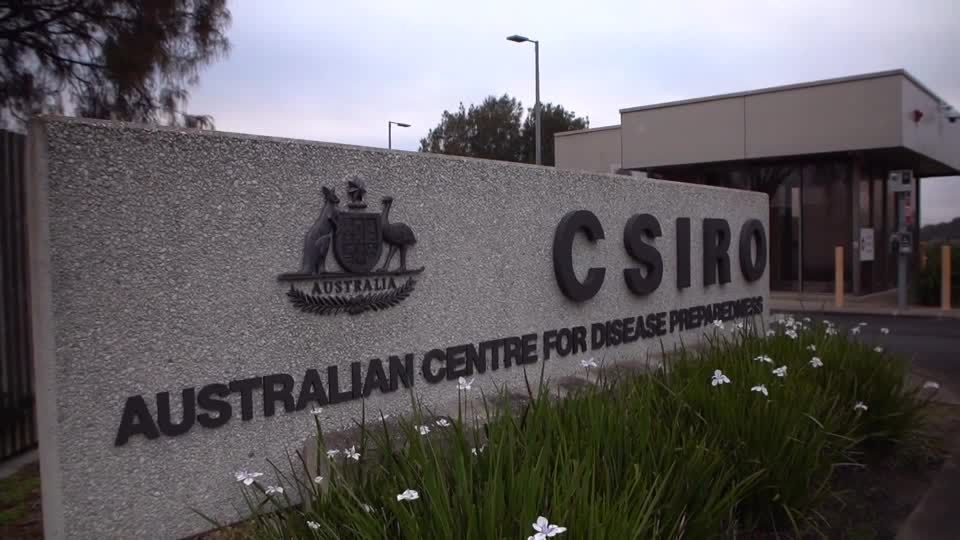 australia-relata-segundo-caso-de-gripe-aviaria-h5n1-em-menos-de-uma-semana