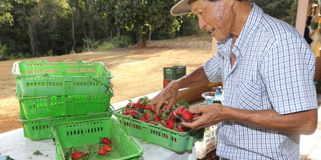finep-vai-pagar-r$-220-milhoes-para-inovacoes-em-agricultura-familiar 