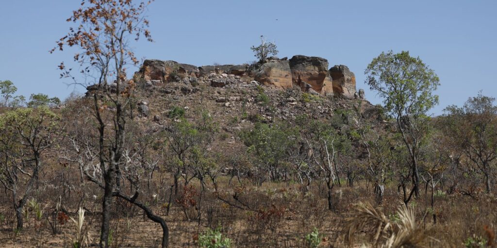 terras-indigenas-representam-preservacao-e-cultura-para-o-cerrado
