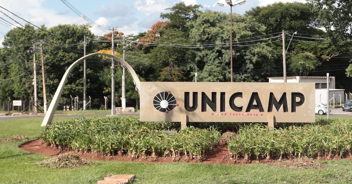 alem-da-usp:-quais-sao-as-universidades-brasileiras-que-se-destacaram-nos-rankings-globais