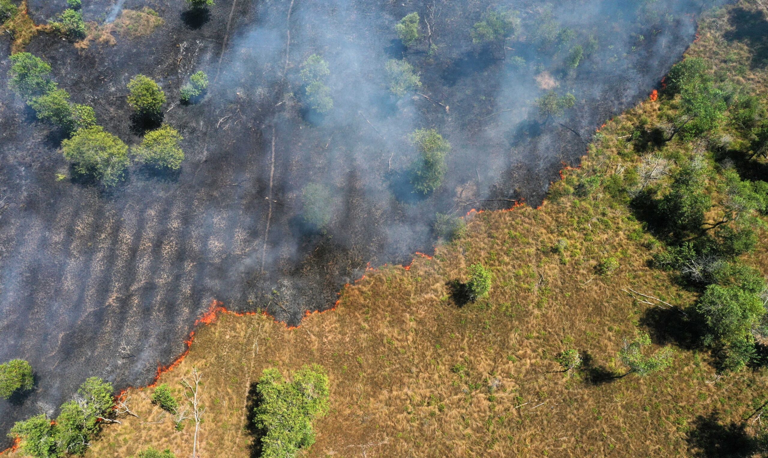 ‘mudancas-climaticas’-ou-‘mudanca-climatica’?-por-que-a-diferenca-entre-singular-e-plural-faz-diferenca