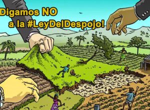 13-razones-para-derogar-el-dl.-1333,-“ley-del-despojo”
