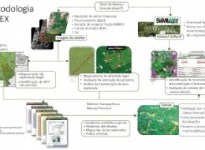 sistema-de-monitoramento-da-exploracao-madeireira-(simex)-–-estado-do-para-2015-2016