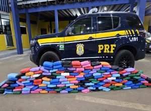 prf-apreende-quase-190-kg-de-skunk-escondidos-em-bebedouros-na-br-364