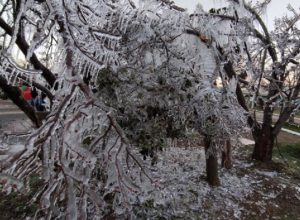estado-de-sao-paulo-tem-previsao-de-temperatura-minima-de-2oc-para-esta-semana