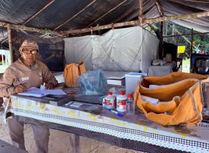 jacareacanga-registra-a-maior-reducao-de-casos-de-malaria-dos-ultimos-7-anos