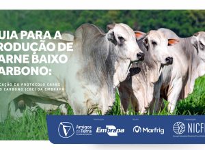 praticas-para-reduzir-emissoes-de-carbono-podem-ampliar-a-competitividade-da-pecuaria-nacional