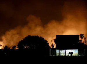 pl-da-devastacao:-o-vale-tudo-proposto-pelo-projeto-de-lei-que-muda-o-licenciamento-ambiental