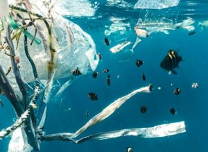 bancos-destinam-3-bi-de-euros-para-reduzir-plastico-nos-oceanos
