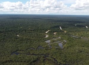 ferrovia-de-integracao-centro-oeste-afetara-24-terras-indigenas-em-mato-grosso-e-rondonia