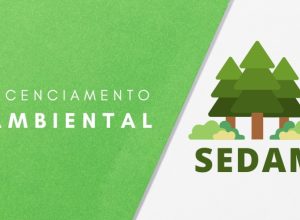 recebimento-da-licenca-ambiental-(lo):-cooperativa-dos-garimpeiros-do-rio-madeira-–-coogarima