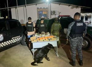 forcas-de-seguranca-apreendem-mais-de-30-kg-de-drogas-durante-operacao-na-br-364