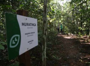 seminario-discute-mineracao-em-areas-protegidas-da-amazonia