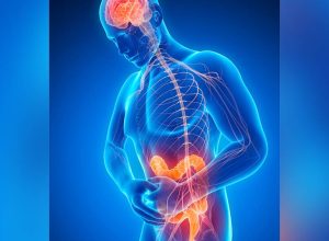 pre,-pro-e-simbioticos:-o-que-sao-esses-produtos-com-potencial-contra-ansiedade-e-depressao