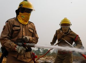 amazonas-registra-queda-de-quase-67%-nos-focos-de-calor-no-1o-semestre-de-2025