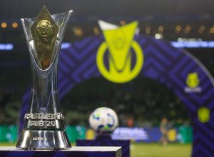 palmeiras-conquista-o-tetra:-veja-todos-os-campeoes-do-brasileirao-sub-20