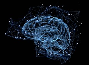 pesquisa-brasileira-investiga-proteina-do-cerebro-que-pode-ajudar-a-regenerar-nervos