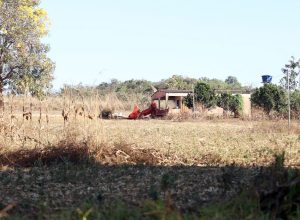defesa-de-fazendeiros-em-goias-contesta-decisao-sobre-quilombolas defesa-de-fazendeiros-em-goias-contesta-decisao-sobre-quilombolas