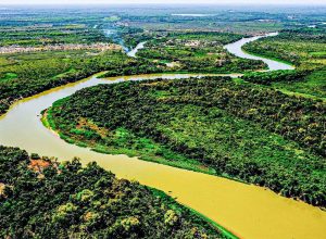 estatuto-do-pantanal-avanca-no-congresso-e-abre-debate-sobre-eficacia-da-protecao-ao-bioma