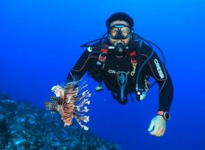 operacao-especial-captura-24-peixes-leao-em-fernando-de-noronha operacao-especial-captura-24-peixes-leao-em-fernando-de-noronha