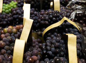 bndes-aprova-r$-1,2-bi-para-empresas-afetadas-pelo-tarifaco bndes-aprova-r$-1,2-bi-para-empresas-afetadas-pelo-tarifaco