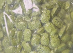 “ecstasy-de-abacaxi”:-homem-e-preso-com-drogas-no-aeroporto-do-galeao