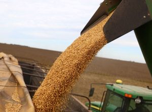 cade-forma-maioria-para-suspender-moratoria-da-soja-a-partir-de-2026 cade-forma-maioria-para-suspender-moratoria-da-soja-a-partir-de-2026