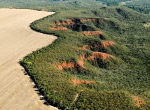 cerrado-perdeu-249-mil-hectares-de-area-de-rios-e-lagos-em-40-anos cerrado-perdeu-249-mil-hectares-de-area-de-rios-e-lagos-em-40-anos