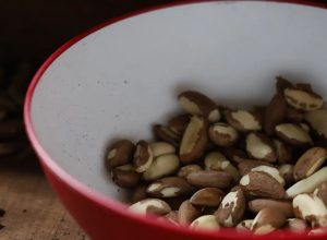 agricultura-familiar-do-nordeste-vai-a-maior-feira-mundial-alimentos agricultura-familiar-do-nordeste-vai-a-maior-feira-mundial-alimentos