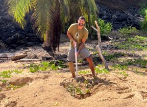 comeca-temporada-de-reproducao-das-tartarugas-em-fernando-de-noronha